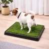 Kuweta do nauki sikania czystości dla szczęniąt psa trawa 3 warstwy 50x40cm-5907451381328
