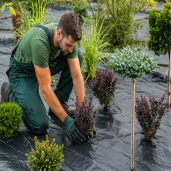 Gruba agrowłóknina agrotkanina 70g 1x50m antchwastowa agrotkanina-5907451389478