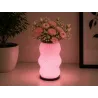 Lampka stołowa z wazonem na kwiaty dekoracyjna 2w1 led rgb pilot lampa-5907451390061