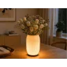 Lampka stołowa z wazonem na kwiaty dekoracyjna 2 w 1 led rgb pilot lampa-5907451390054