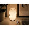 Lampka stołowa z wazonem na kwiaty dekoracyjna 2 w 1 led rgb pilot lampa-5907451390047