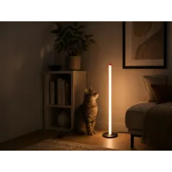 Lampka stojąca podłogowa led 100cm 3 barwy nowoczesna regulacja jasności-5907451381724