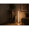 Lampka stojąca podłogowa led 100cm 3 barwy nowoczesna regulacja jasności-5907451381724
