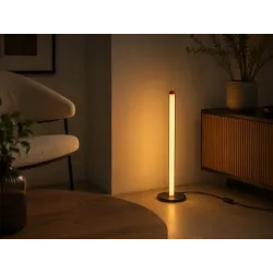 Lampka stojąca podłogowa led 100cm 3 barwy nowoczesna regulacja jasności-5907451381724
