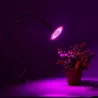 Mocowana na klips lampa do uprawy roślin LED 20W GROW w stylu retro