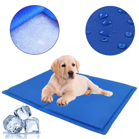 Mata chłodząca dla psa kota legowisko żelowa 50cm-5907451331569