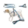 Smycz z szelkami szelki spacerowe dla psa kota regulowane rozmiar wygodne - 2