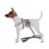 Smycz z szelkami szelki spacerowe dla psa kota regulowane rozmiar wygodne - 3