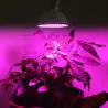 Mocna żarówka LED E27 GROW 200 led do uprawy roślin