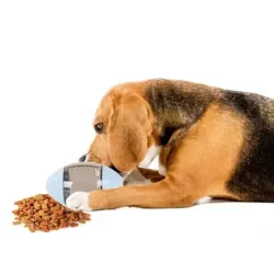 Zabawka dla psa na smakołyki jedzenie karmę piłka - 6