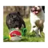 Zabawka dla psa frisbee piłka latająca dysk gryzak - 11
