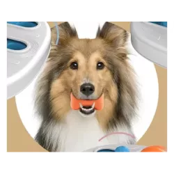 Zabawka dla psa edukacyjna logiczna gra na przysmaki gryzak węchowa - 5