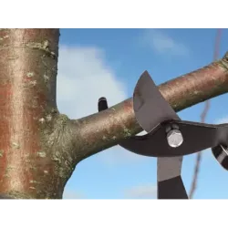 Sekator nożyce ogrodowe ręczne do gałęzi krzewów długie kowadełkowy - 4