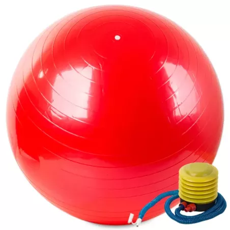 Piłka gimnastyczna + pompka 65cm rehabilitacyjna-5907451311271