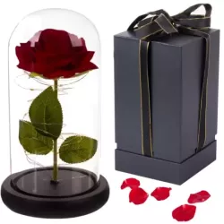 Wieczna róża w szkle czerwona prezent LED świecąca na okazję dla kobiet - 1