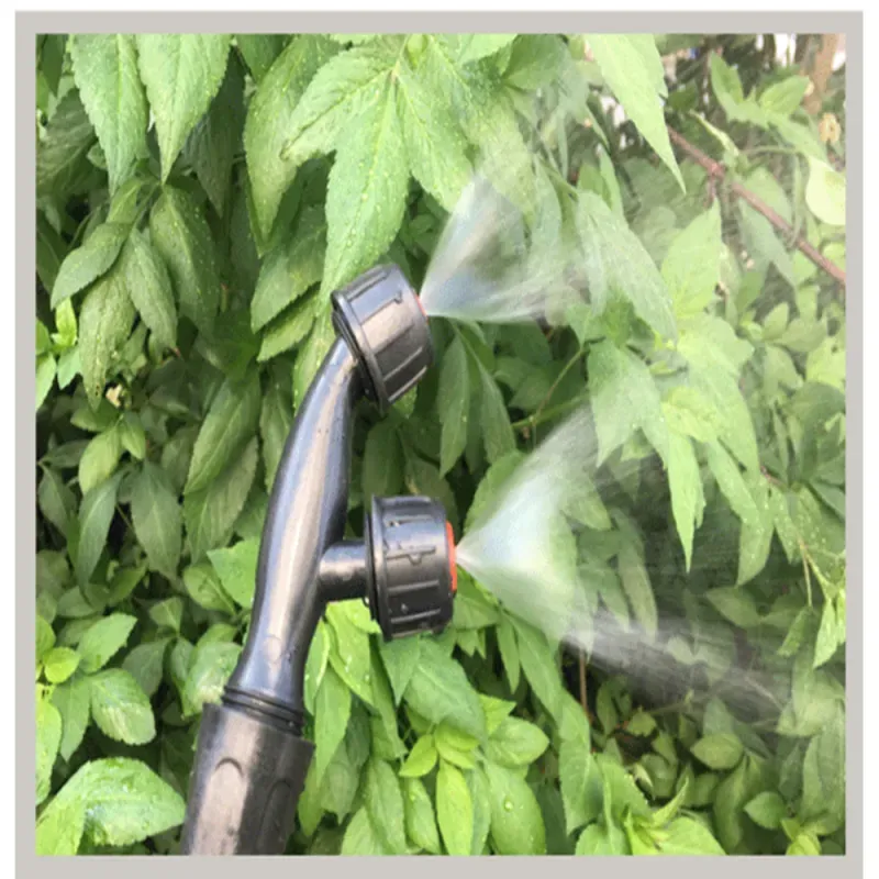 a sample image