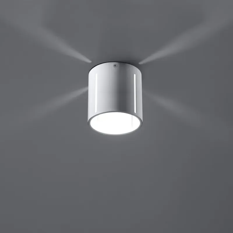 a sample image