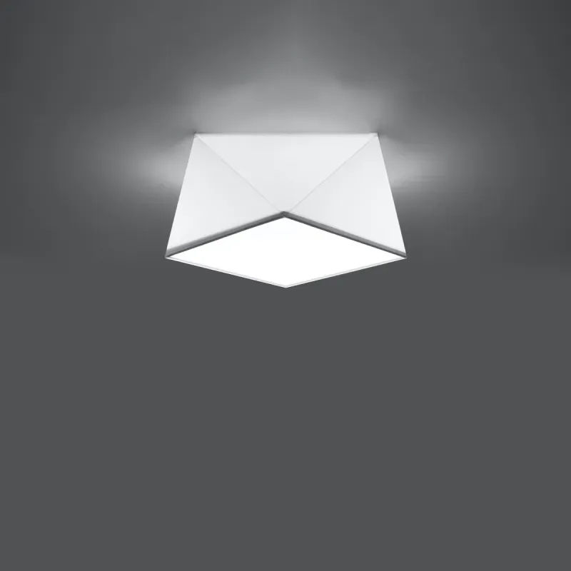 a sample image