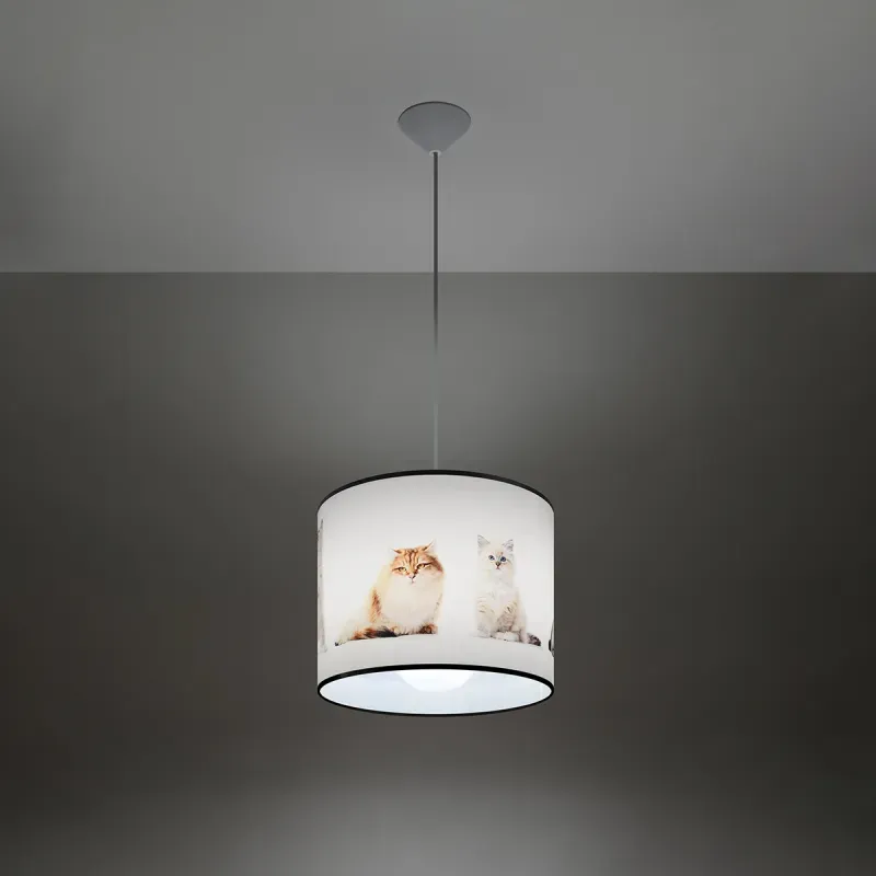 a sample image