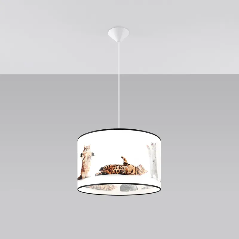 a sample image