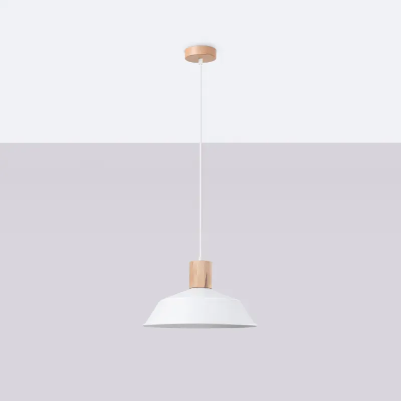 a sample image