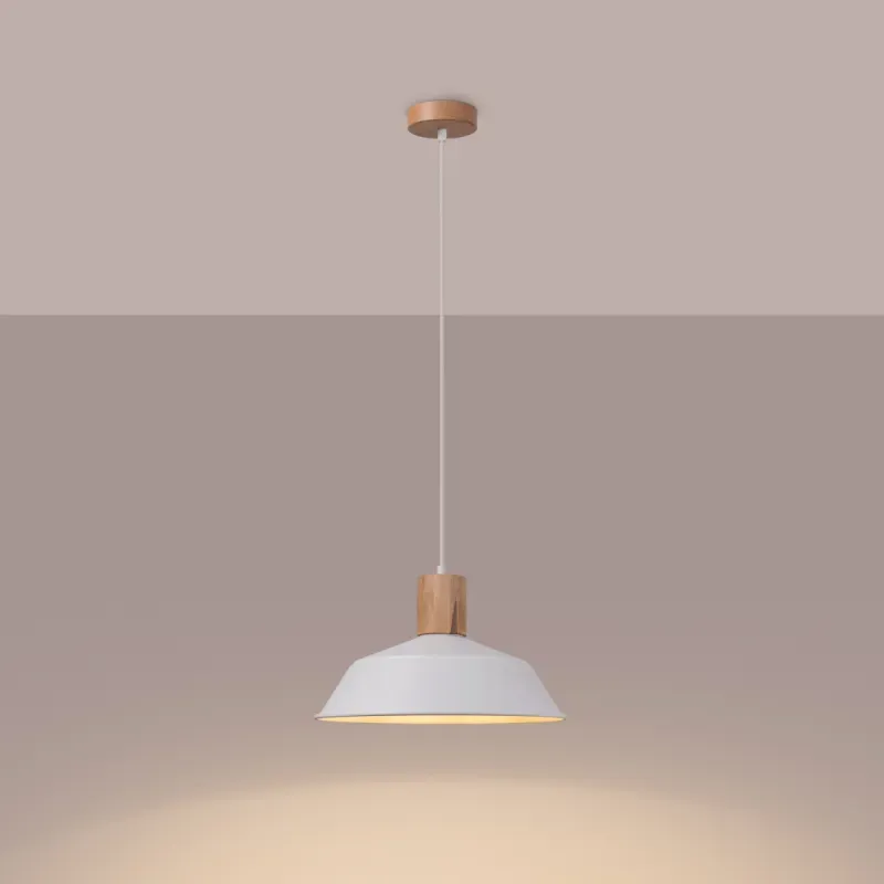 a sample image