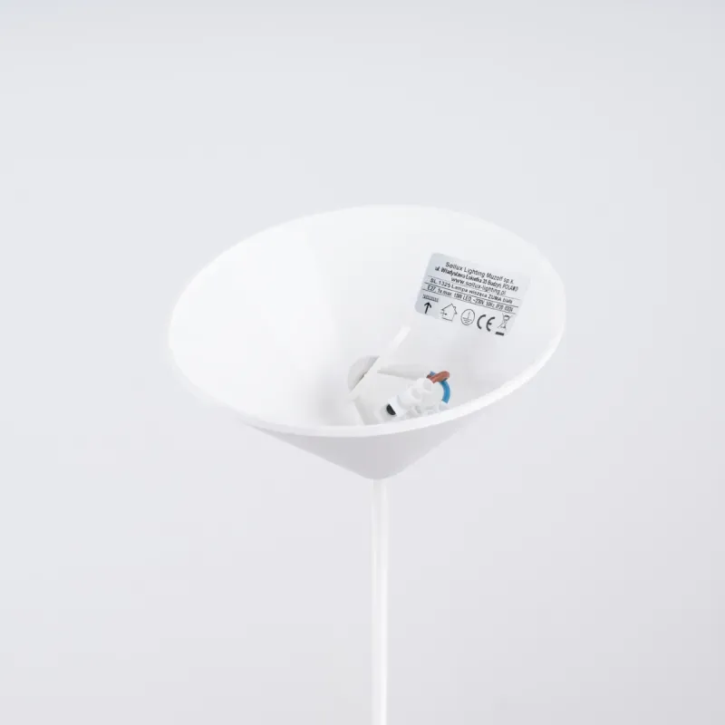 a sample image