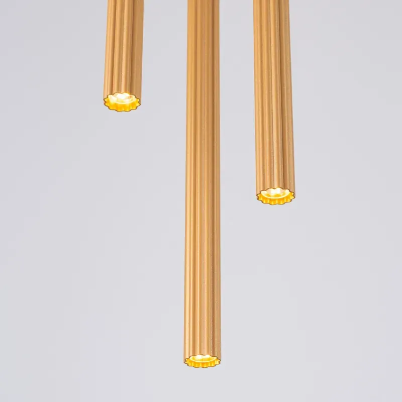 a sample image