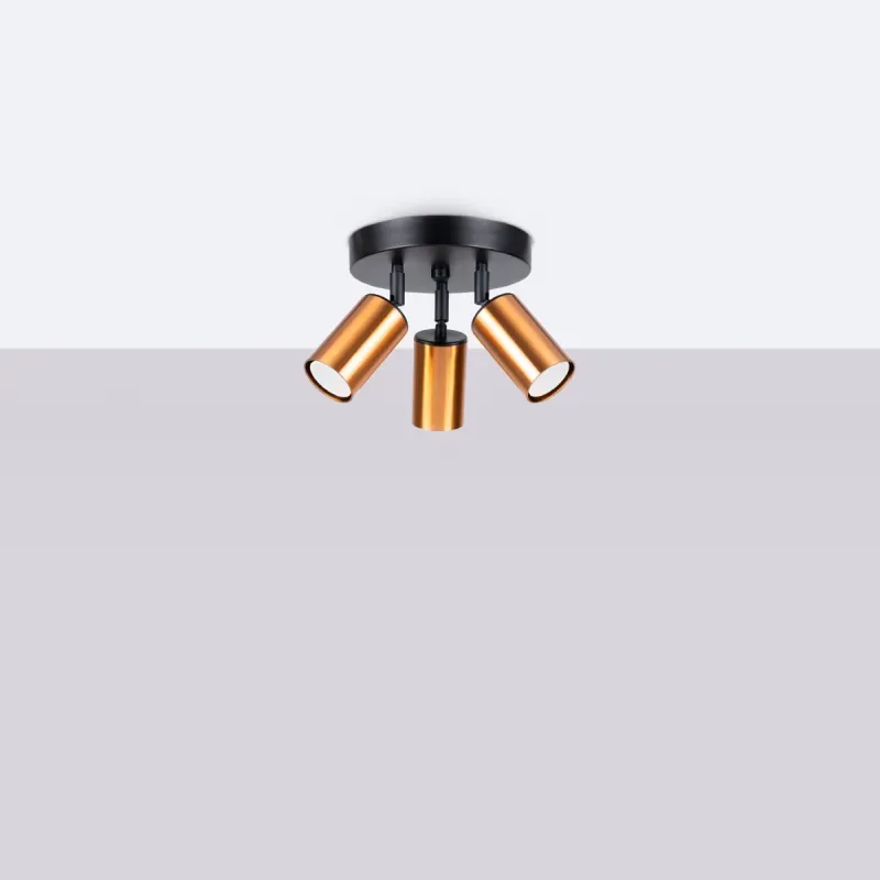 a sample image