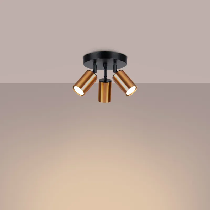 a sample image