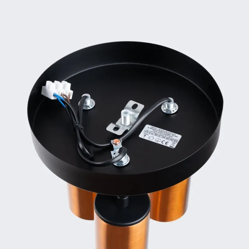 a sample image