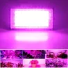 Panel lampa do uprawy roślin GROW LED 50w, 50 chip led ful spectrum