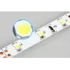Taśma 300LED 3528 barwa światła niebieska 5m + zasilacz ip65