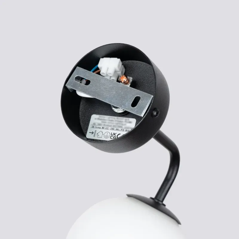 a sample image