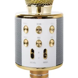 Mikrofon bezprzewodowy bluetooth karaoke okrągły z etui różne tryby