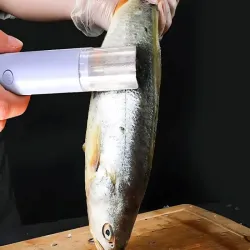 Elektryczna skrobaczka skrobak maszynka do łusek ryb skaler tarka-5907451363331