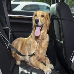Pas bezpieczeństwa dla psa do samochodu dla psa smycz bezpieczeństwa-5907451320679