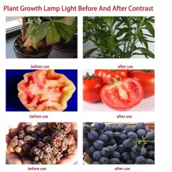 Halogen GROW 100W led do uprawy roślin 2x50w cob