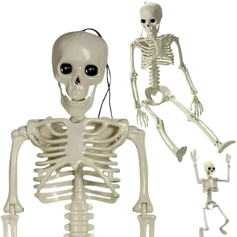 Kościotrup szkielet człowieka wiszący 40cm dekoracja na halloween-5907451362648