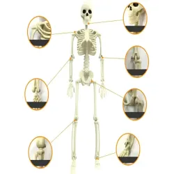 Kościotrup szkielet człowieka wiszący 40cm dekoracja na halloween-5907451362648
