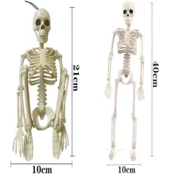 Kościotrup szkielet człowieka wiszący 40cm dekoracja na halloween-5907451362648