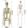 Kościotrup szkielet człowieka wiszący 40cm dekoracja na halloween-5907451362648