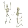 Kościotrup szkielet człowieka wiszący 40cm dekoracja na halloween-5907451362648