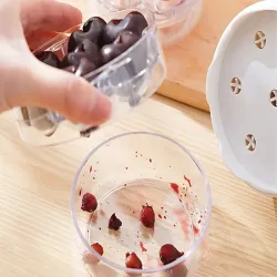 Drylownica do 7 wiśni czereśni oliwek ręczna z pojemnikiem na pestki-5907451373514