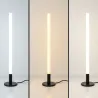 Lampa stojąca led 40cm nowoczesna dekoracyjna biurkowa podłogowa-5907451373743