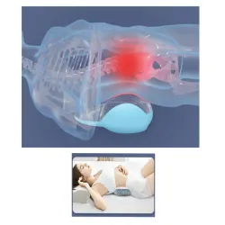 Poduszka ortopedyczna pod plecy lędźwiowa podpórka ergonomiczna-5907451345344
