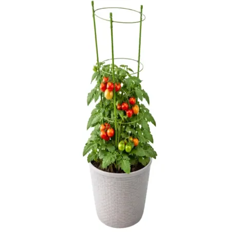 Podpora pierścieniowa do roślin 120cm obręcz do kwiatów 3 pierścienie-5907451389201