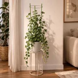 Podpora pierścieniowa do roślin 120cm obręcz do kwiatów 3 pierścienie-5907451389201