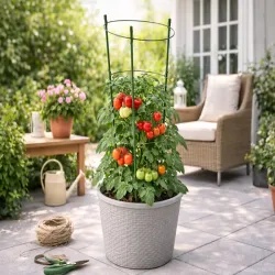 Podpora pierścieniowa do roślin 90 cm obręcz do kwiatów 3 pierścienie-5907451389195