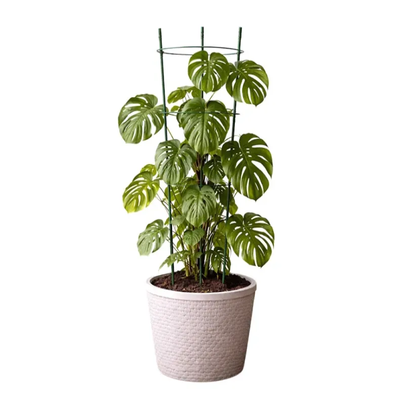 Podpora pierścieniowa do roślin 90 cm obręcz do kwiatów 3 pierścienie-5907451389195